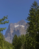 Grindelwald Switzerland 67